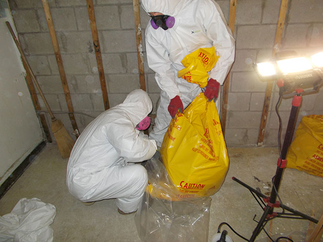 Essex asbestos removal